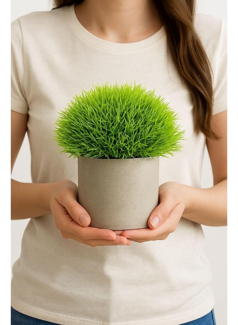 Artificial Mini Green Plant with Grey Clay Pot Small Fake Decorative Item for Home Office Bathroom Kitchen Table (Pack of 2) - Image 3